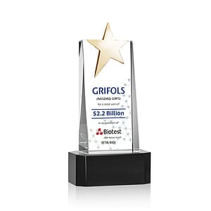 Fanshaw Gold Star VividPrint™ Award on Base - Black