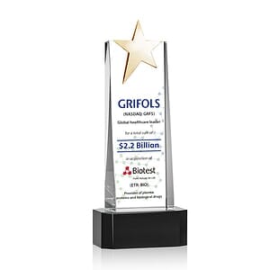 Fanshaw Gold Star VividPrint™ Award on Base - Black