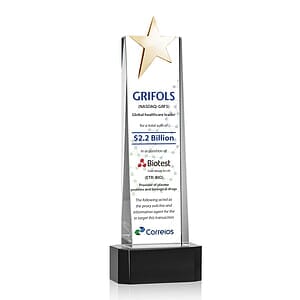 Fanshaw Gold Star VividPrint™ Award on Base - Black