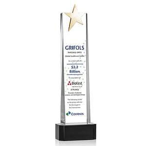 Fanshaw Gold Star VividPrint™ Award on Base - Black