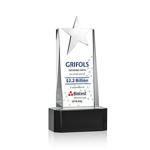 Fanshaw Silver Star VividPrint™ Award On Base - Black