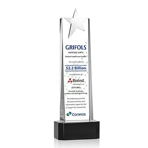 Fanshaw Silver Star VividPrint™ Award On Base - Black