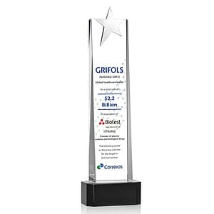 Fanshaw Silver Star VividPrint™ Award On Base - Black