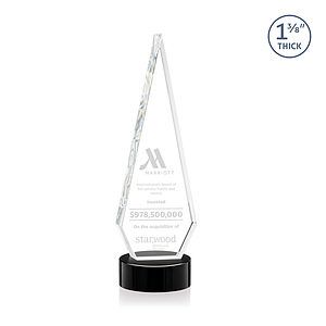 Springfield Award on Stanrich Base - Black
