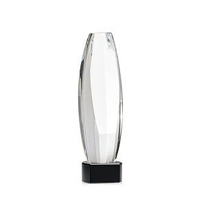 Hoover Award on Paragon Base - Black