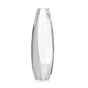 Hoover Award