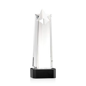 Delaware Star VividPrint™ Award on Base - Black