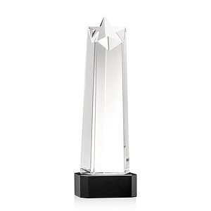 Delaware Star VividPrint™ Award on Base - Black