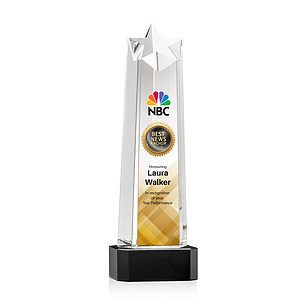 Delaware Star VividPrint™ Award on Base - Black