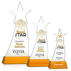 Manolita VividPrint™ Award - Amber