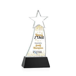 Manolita VividPrint™ Award - Black