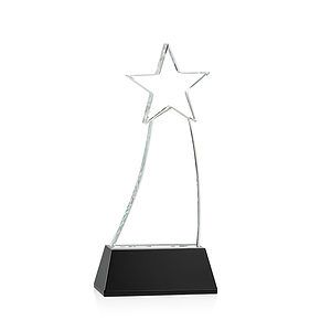 Manolita VividPrint™ Award - Black