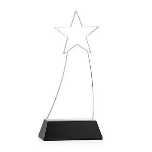 Manolita VividPrint™ Award - Black
