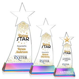 Manolita VividPrint™ Award - Prismatic