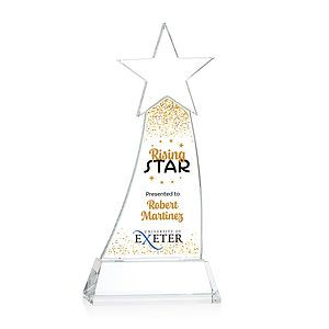 Manolita VividPrint™ Award - Clear