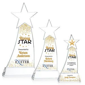 Manolita VividPrint™ Award - Clear