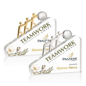 Synergy VividPrint™ Award