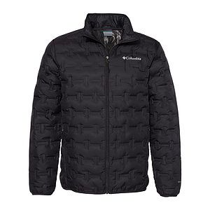 Men's Delta Ridge™ II Down Jacket - 208624