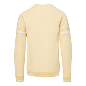 Men's Donovan Striped Crewneck Sweatshirt - 23404