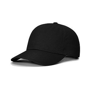 Sustainable Ashland Dad Hat - 254RE