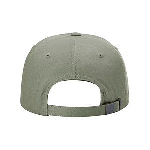 Sustainable Ashland Dad Hat - 254RE