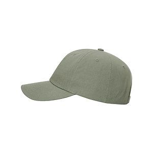 Sustainable Ashland Dad Hat - 254RE