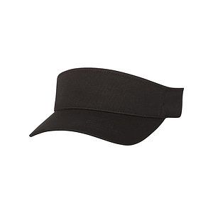 110® Visor - 8110