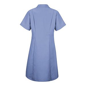 Women's Short Sleeve Dress - DP23