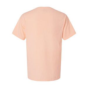 Unisex Botanical Dyed T-Shirt - GDH11B