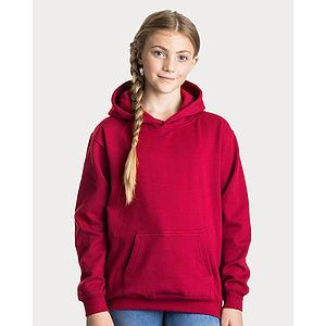 Youth Hooded Sweatshirt - JHY001