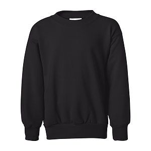 Youth EcoSmart® Crewneck Sweatshirt - P360