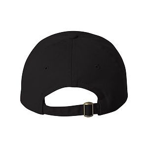 Bio-Washed Classic Dad Hat - VC300A
