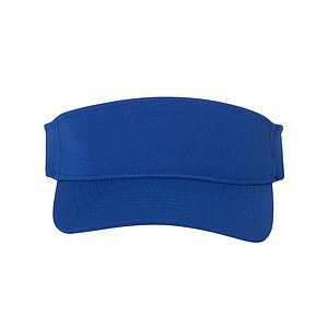 110® Visor - 8110