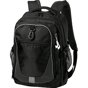 Domain Computer Backpack