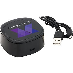 Swivel TWS Wireless Earbuds and Charger Case