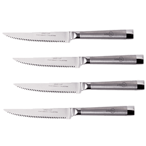 Oneida® 4 Piece Stainless Steel Steak Knife Set