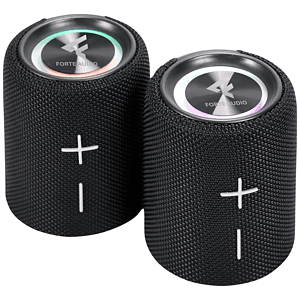 10W Magnetic 2-in-1 Wireless Speaker