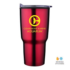30 oz Stainless Steel Tumbler With Plastic Liner