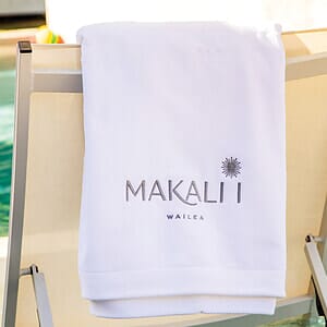 Presidential Plush Velour Beach Towel