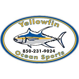 Custom 12 x 18 Inch Oval Car Magnet