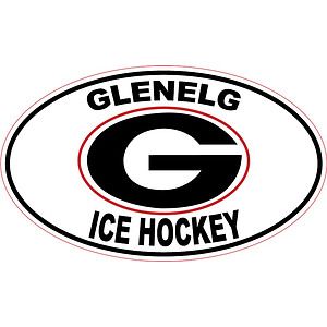Custom 3" x 4" Oval Car Magnet