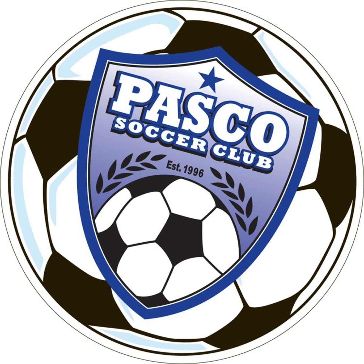 Custom 5.75" Diameter Circle Soccer Ball Car Magnet