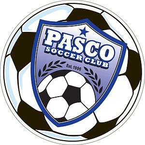 Custom 5.75" Diameter Circle Soccer Ball Car Magnet