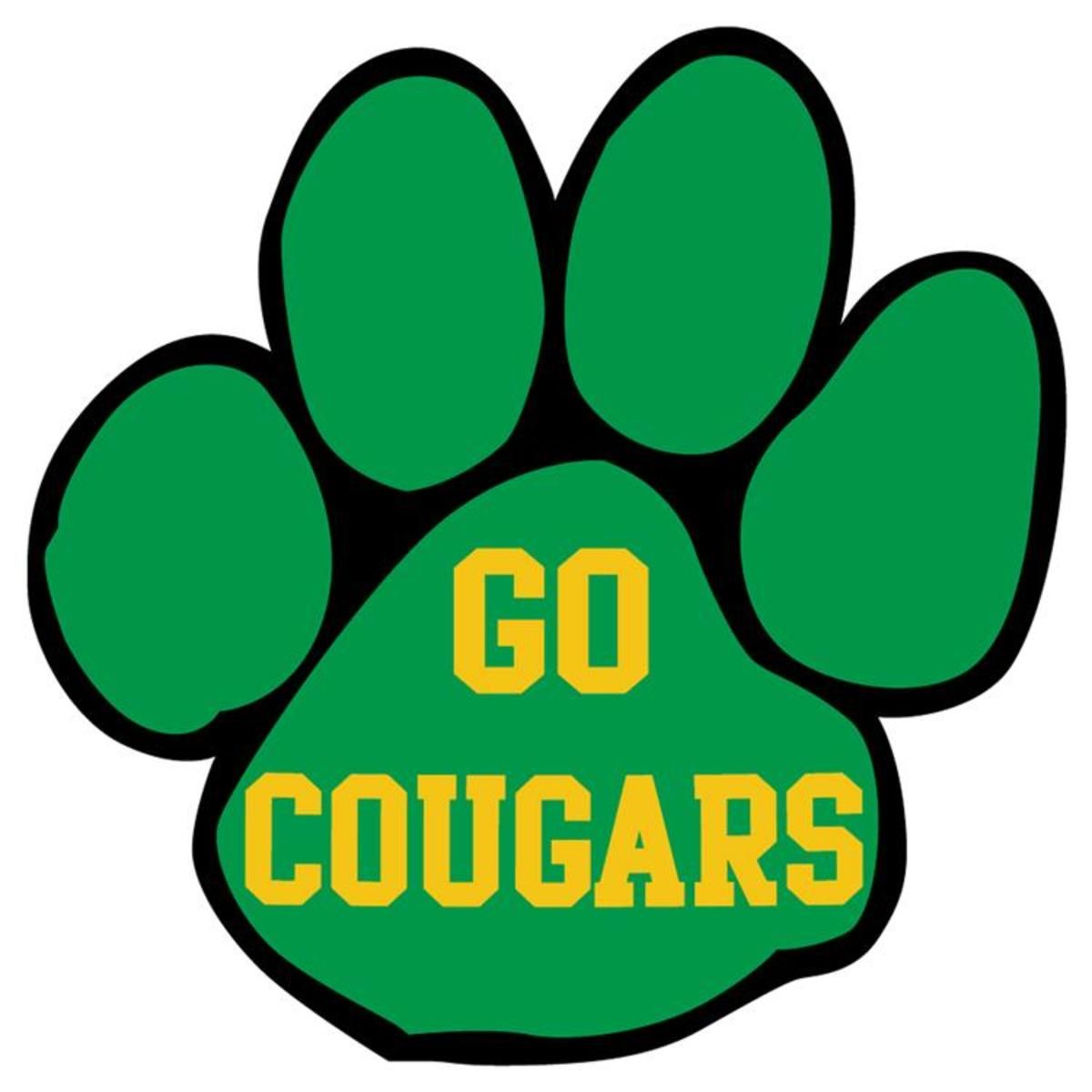 Custom 11.75" Paw Print Car Magnet