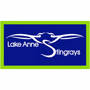 Custom 3.5" x 6.5" Rectangle Car Magnet