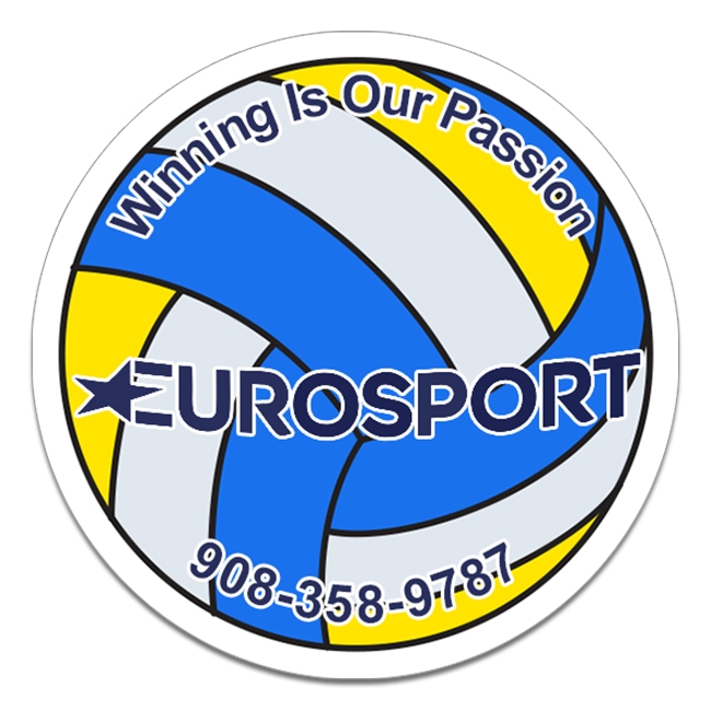 3 Inch Custom Volleyball Shaped Magnets 20 Mil