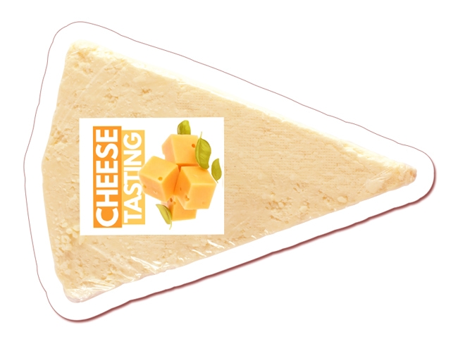 3X3 Cheese Shaped Magnets 20 Mil