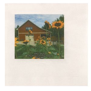 1 Ply White Luncheon Napkin, Digital
