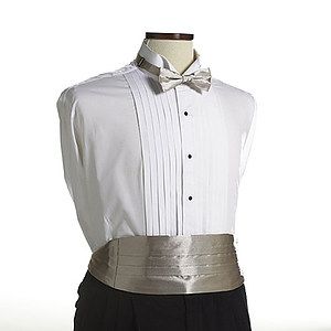 Champagne Beige Cummerbund