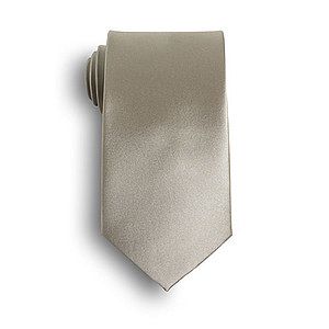 Champagne Beige Silk Tie